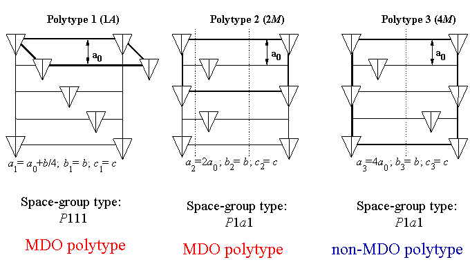 Three hypothetical polytypes