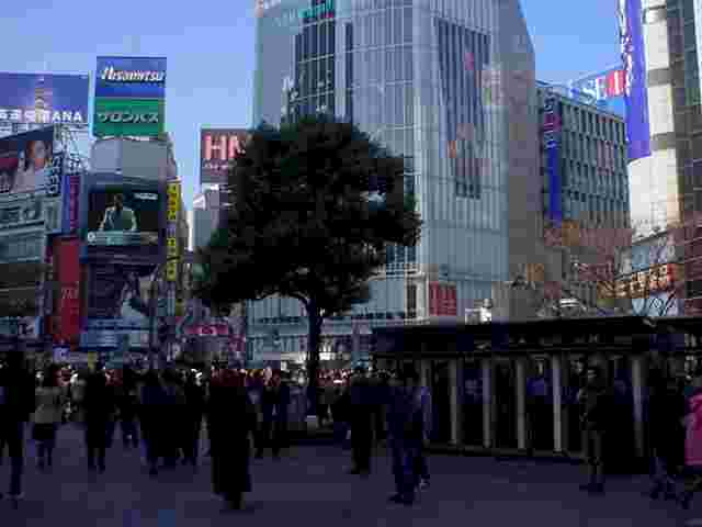 Just outside the Hachiko exit